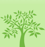 Kiva_tree