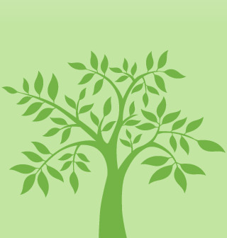 Kiva_tree