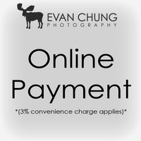 Online Payment graphic - small