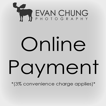 Online Payment graphic - small