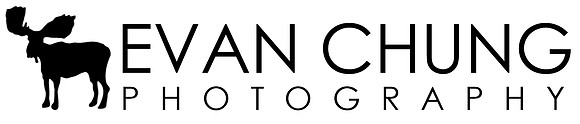 ECPhoto Logo 2013