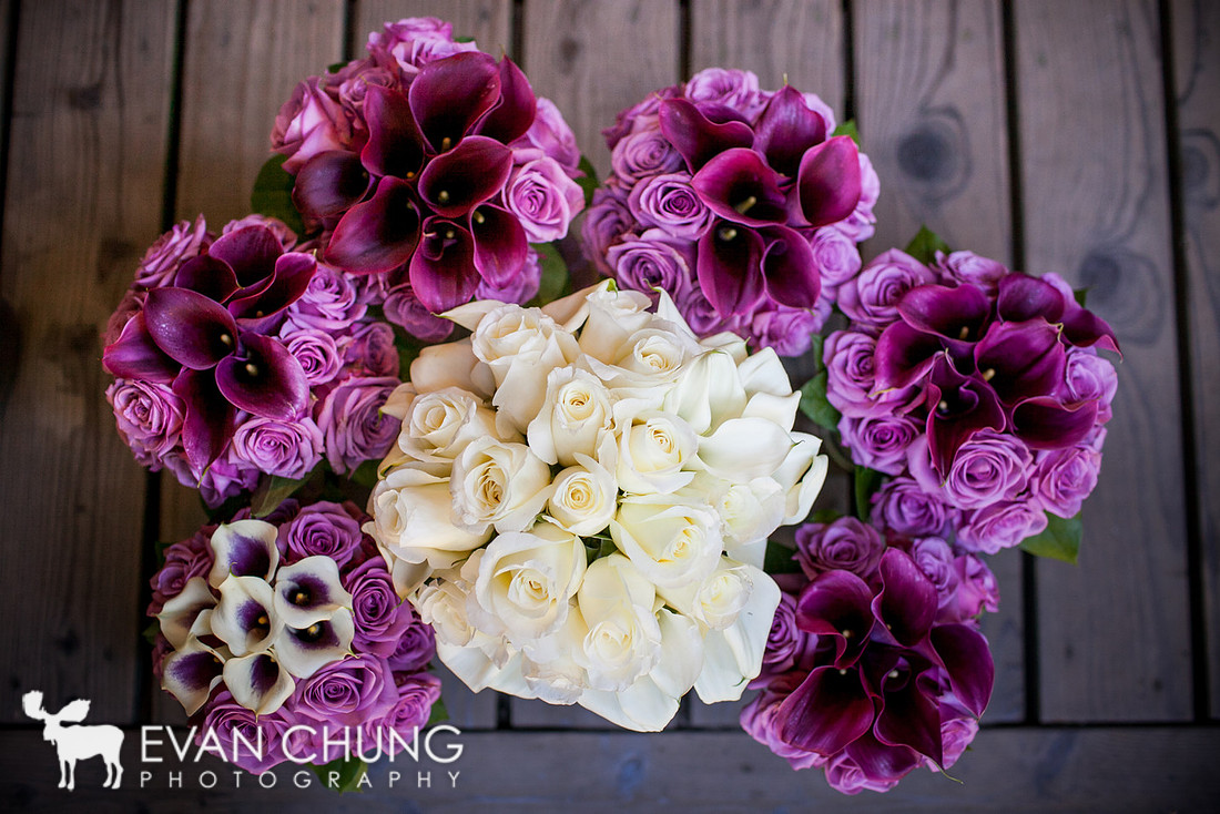 ECPhoto-4595